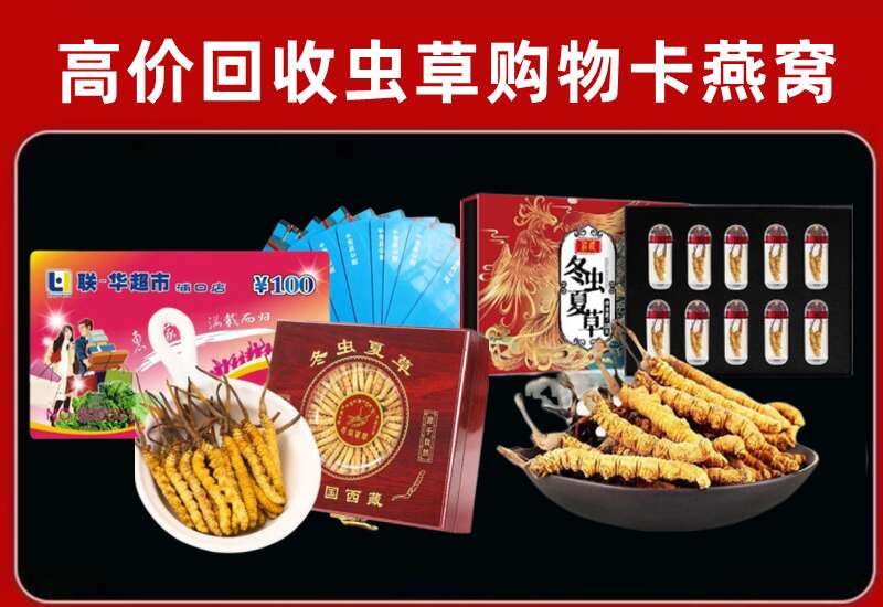 隆化县回收购物卡